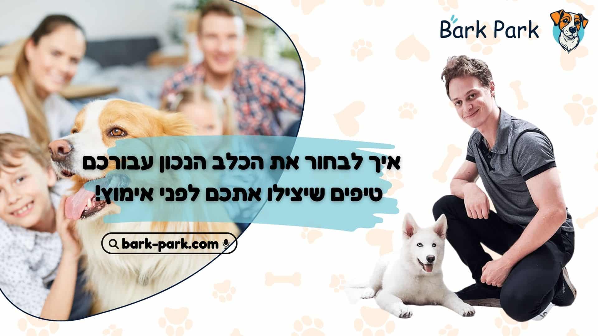איך לבחור את הכלב הנכון עבורכם