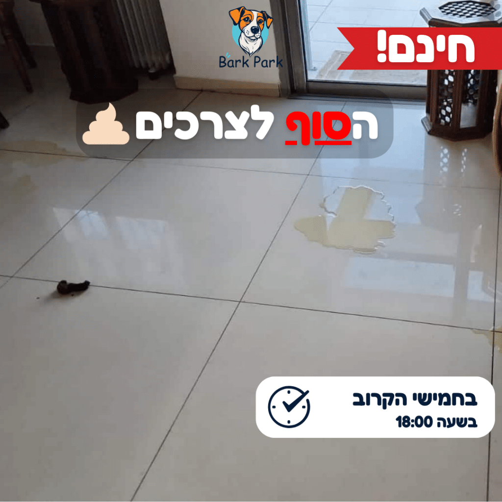 קאנבה עדכנית - הסוף לצרכים