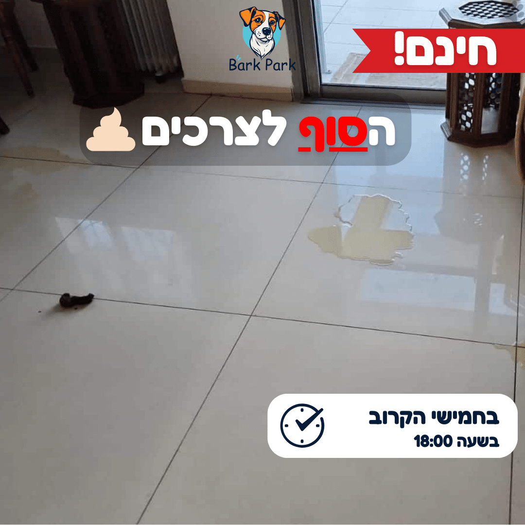 קאנבה עדכנית - הסוף לצרכים